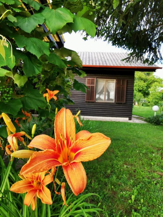 Merikotka - A Cozy Wooden Cottage, Slovenia Braslovce Ngoại thất bức ảnh