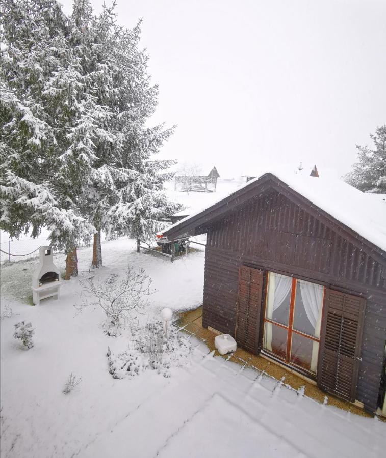 Merikotka - A Cozy Wooden Cottage, Slovenia Braslovce Ngoại thất bức ảnh