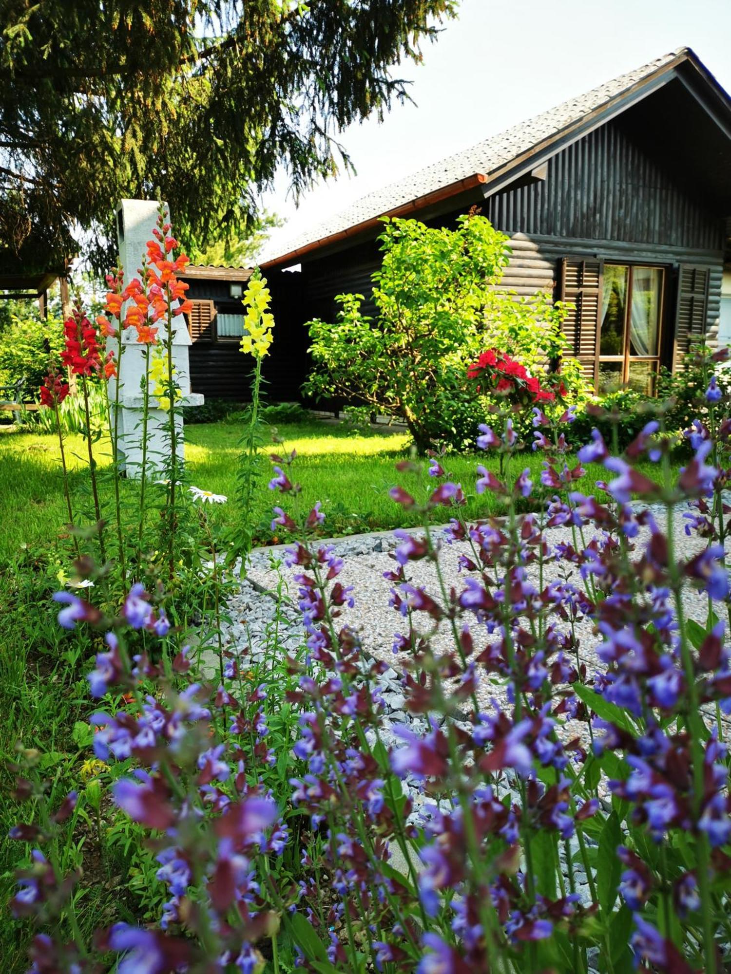 Merikotka - A Cozy Wooden Cottage, Slovenia Braslovce Ngoại thất bức ảnh