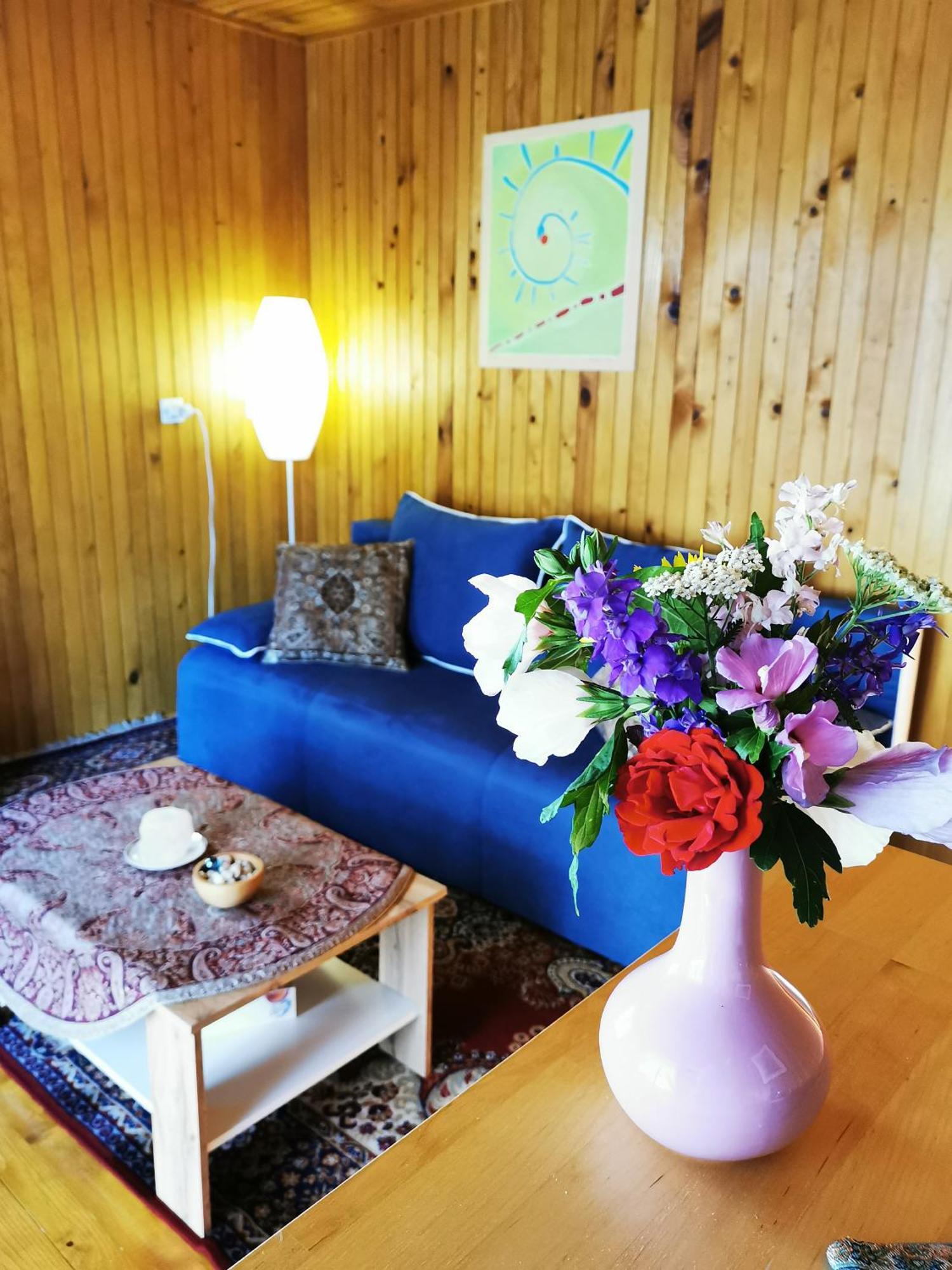Merikotka - A Cozy Wooden Cottage, Slovenia Braslovce Ngoại thất bức ảnh