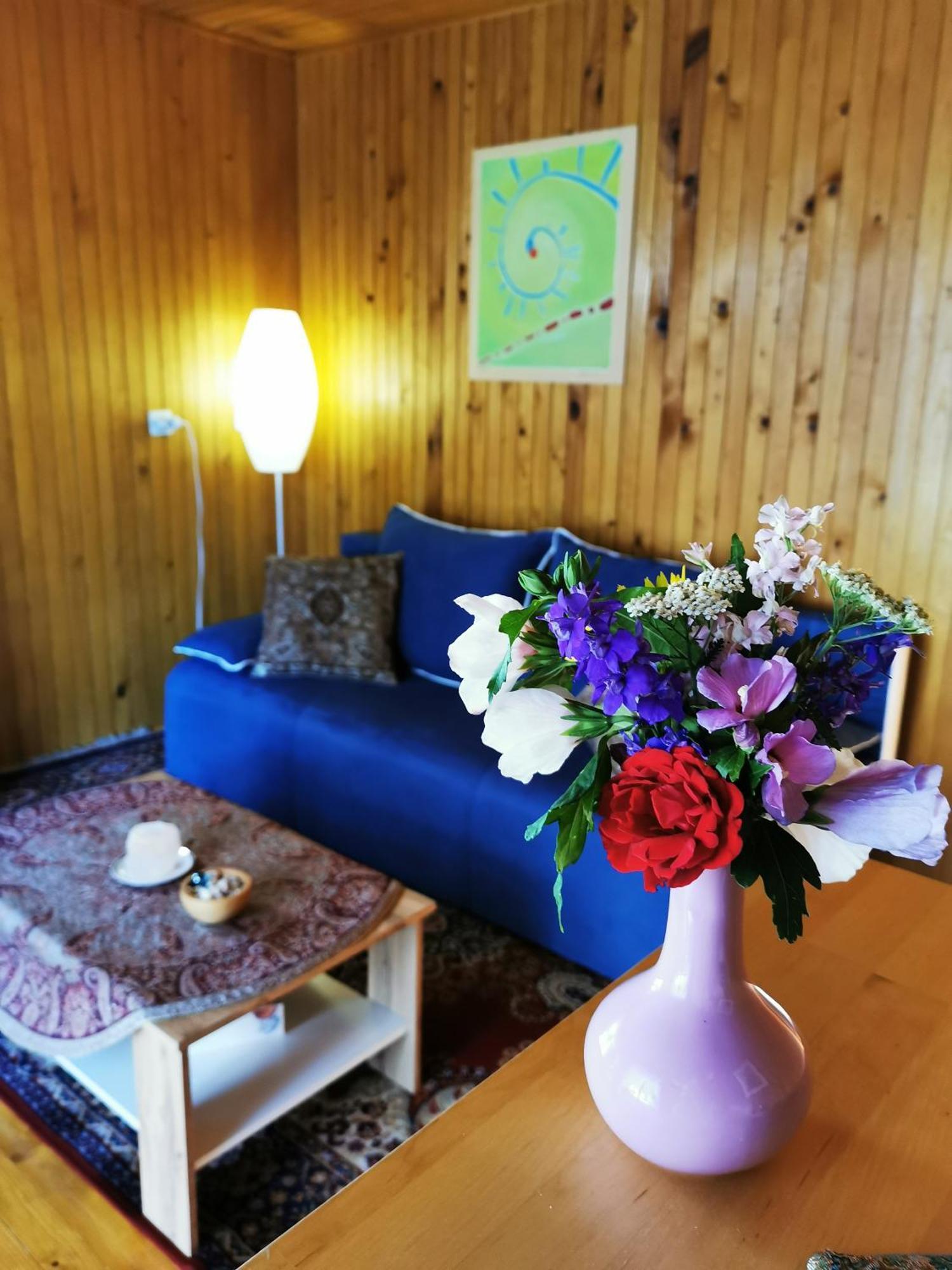 Merikotka - A Cozy Wooden Cottage, Slovenia Braslovce Ngoại thất bức ảnh