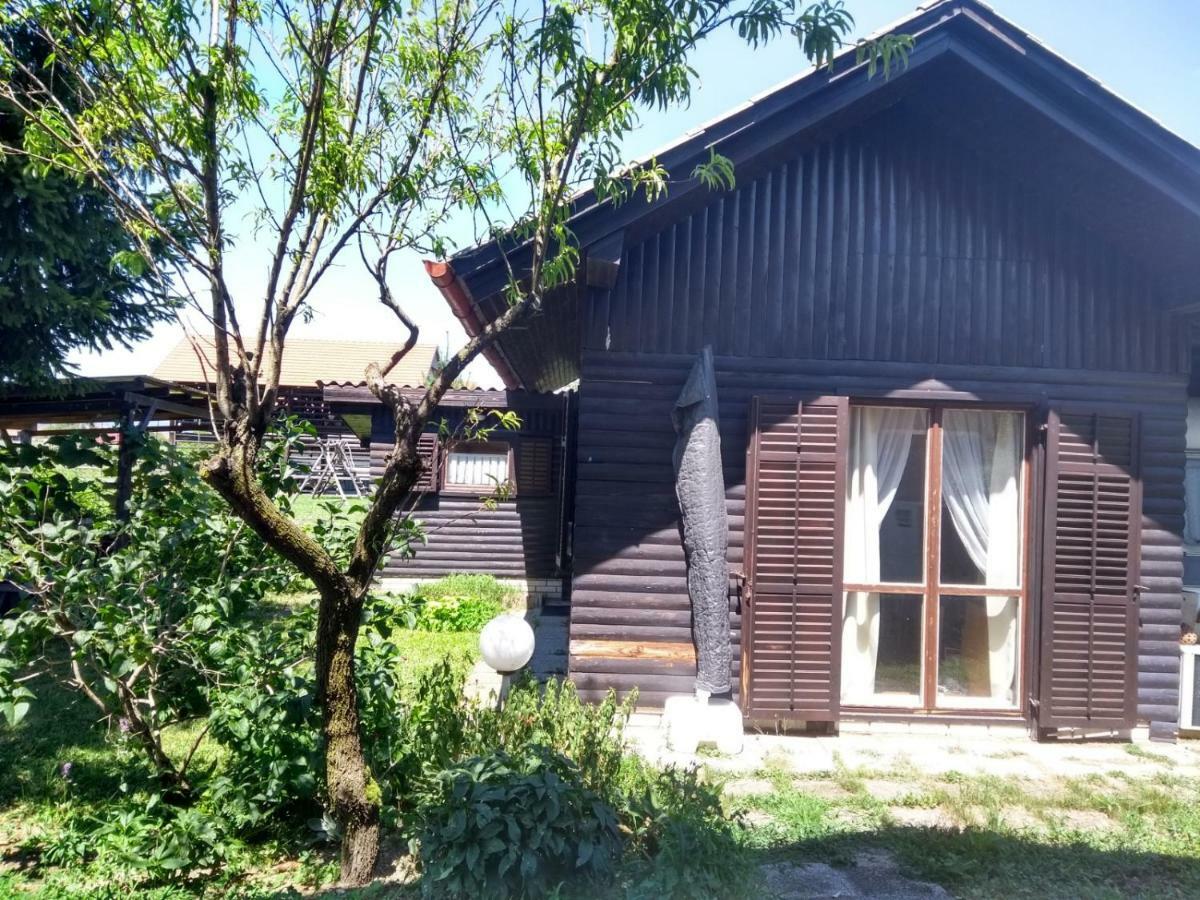 Merikotka - A Cozy Wooden Cottage, Slovenia Braslovce Ngoại thất bức ảnh