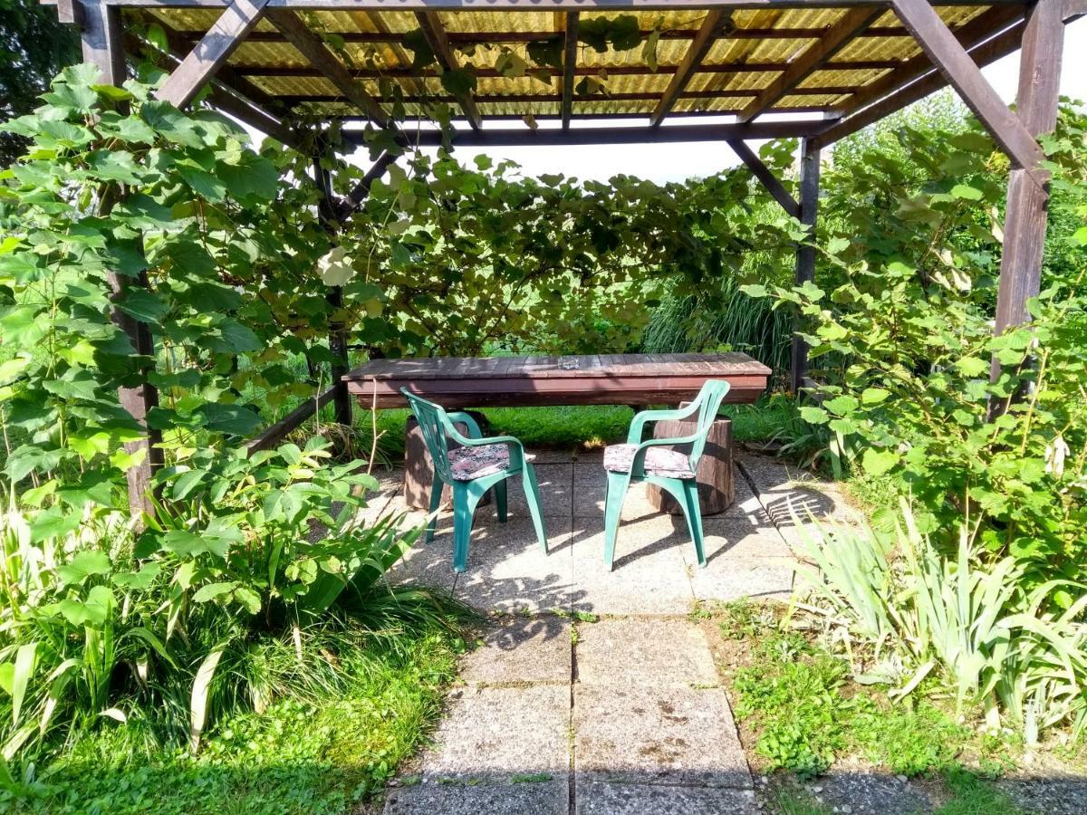 Merikotka - A Cozy Wooden Cottage, Slovenia Braslovce Ngoại thất bức ảnh