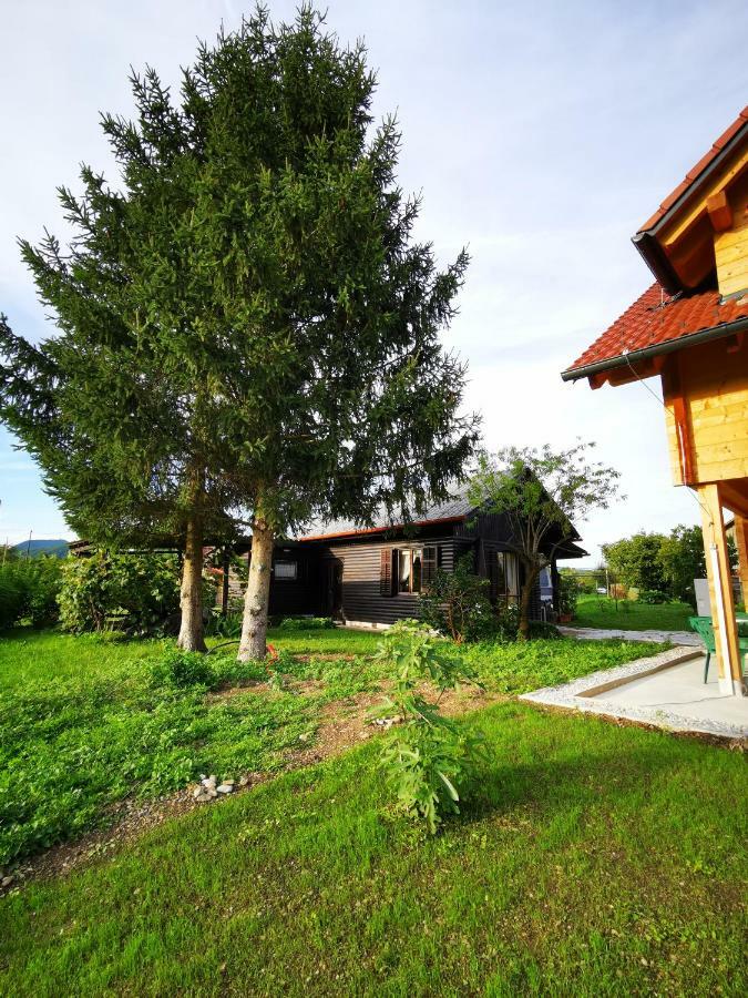 Merikotka - A Cozy Wooden Cottage, Slovenia Braslovce Ngoại thất bức ảnh