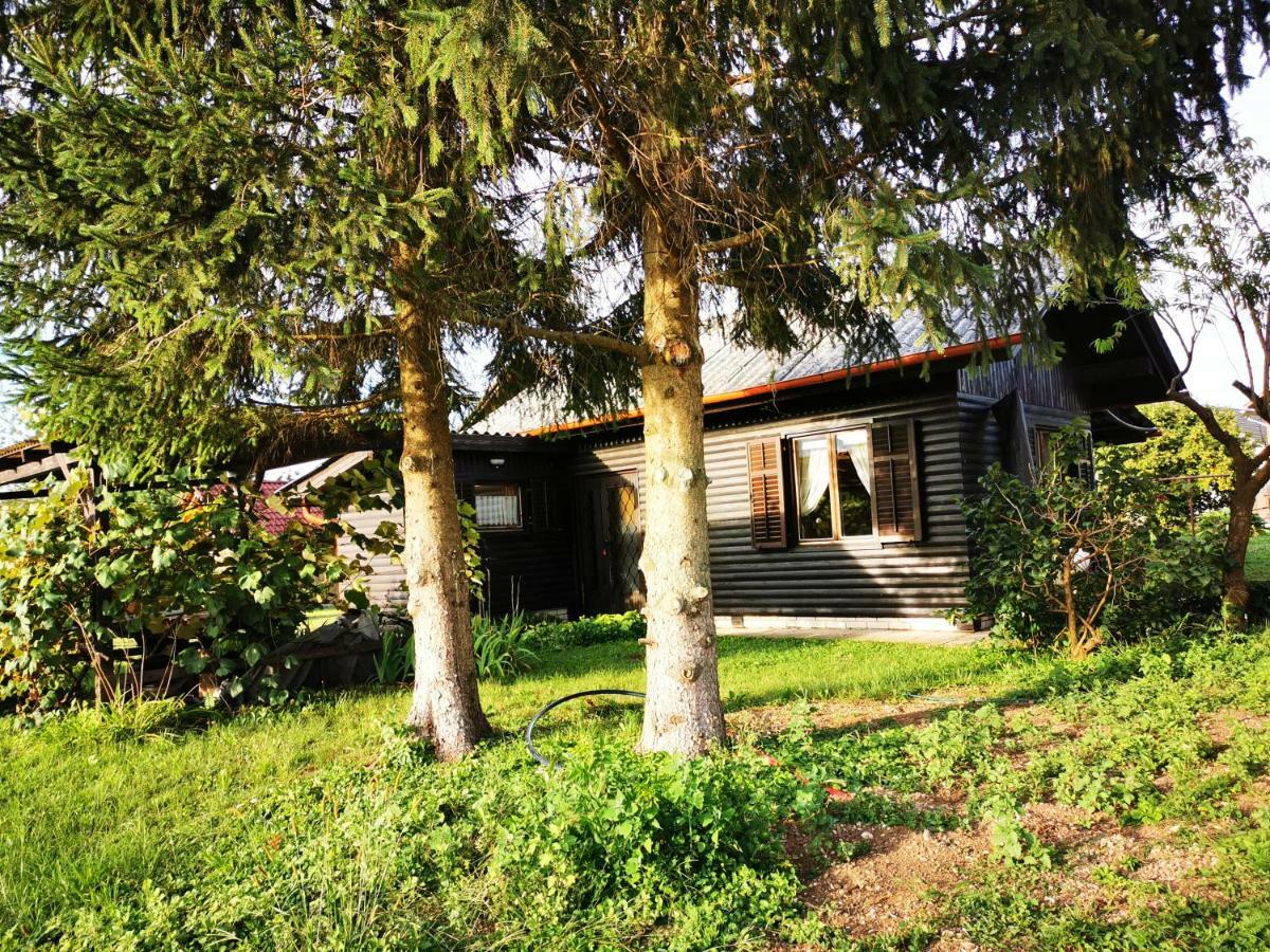Merikotka - A Cozy Wooden Cottage, Slovenia Braslovce Ngoại thất bức ảnh